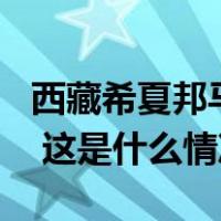 西藏希夏邦马峰发生雪崩，2人遇难2人失踪！ 这是什么情况？