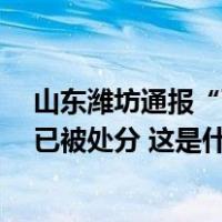 山东潍坊通报“两名村干部不雅视频”事件：事发8月，均已被处分 这是什么情况？