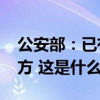 公安部：已有2317名缅北电诈嫌疑人移交我方 这是什么情况？