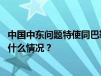 中国中东问题特使同巴勒斯坦外交部第一副部长通电话 这是什么情况？