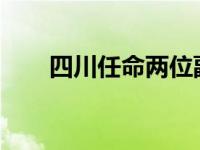 四川任命两位副省长 这是什么情况？