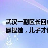 武汉一副区长回应“图书馆性骚扰事件男生是其儿子”：纯属捏造，儿子才读小学 这是什么情况？