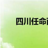 四川任命两位副省长 这是什么情况？