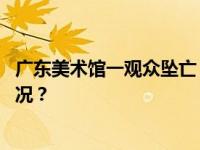 广东美术馆一观众坠亡，官方通报：初判为意外 这是什么情况？