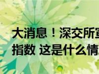 大消息！深交所宣布：10月18日发布深证50指数 这是什么情况？