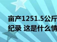 亩产1251.5公斤！袁隆平“超级稻”创世界纪录 这是什么情况？