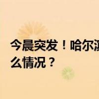 今晨突发！哈尔滨一公交车行驶中自燃，车上有乘客 这是什么情况？