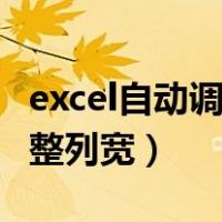 excel自动调整列宽在哪里设置（excel自动调整列宽）