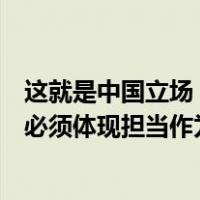 这就是中国立场！张军大使：尽快停火，保护平民，安理会必须体现担当作为 这是什么情况？