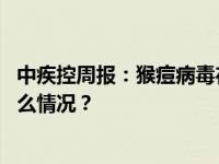 中疾控周报：猴痘病毒在北京本土传播得到显著抑制 这是什么情况？