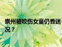 崇州被咬伤女童仍昏迷，母亲：涉事黑狗已找到 这是什么情况？