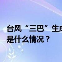 台风“三巴”生成！今夜将登陆或擦过海南岛西南部沿海 这是什么情况？