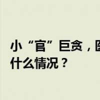 小“官”巨贪，医院收费员侵吞近600万元获刑17年半 这是什么情况？