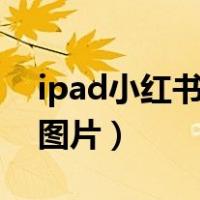 ipad小红书怎么保存图片（小红书怎么保存图片）