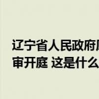 辽宁省人民政府原副省长、省公安厅原厅长王大伟受贿案一审开庭 这是什么情况？