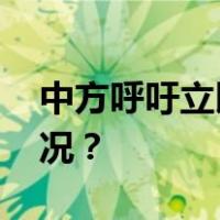 中方呼吁立即实现巴以全面停火 这是什么情况？