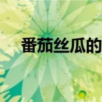 番茄丝瓜的禁忌（西红柿丝瓜汤的做法）