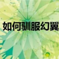 如何驯服幻翼当坐骑（我的世界龙息怎么用）