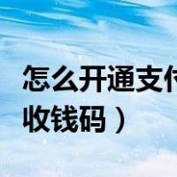 怎么开通支付宝收钱码付款（怎么开通支付宝收钱码）