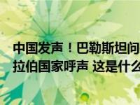 中国发声！巴勒斯坦问题上，联合国及其安理会应当倾听阿拉伯国家呼声 这是什么情况？