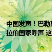 中国发声！巴勒斯坦问题上，联合国及其安理会应当倾听阿拉伯国家呼声 这是什么情况？