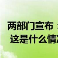 两部门宣布：优化调整石墨物项出口管制措施 这是什么情况？