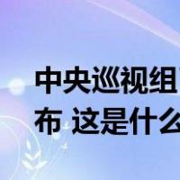 中央巡视组已进驻这32家单位！联系方式公布 这是什么情况？