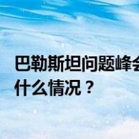 巴勒斯坦问题峰会在埃及举行，各方呼吁巴以停火止战 这是什么情况？