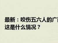 最新：咬伤五六人的广西恶犬已被击毙！警方：正寻找犬主 这是什么情况？