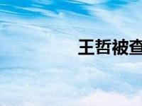 王哲被查 这是什么情况？