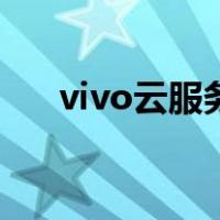 vivo云服务器官网入口（vivo云服务）