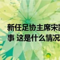 新任足协主席宋凯：这届班子，从骨子里把青训当成头等大事 这是什么情况？