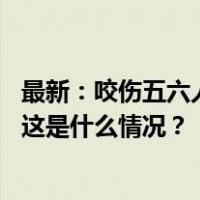 最新：咬伤五六人的广西恶犬已被击毙！警方：正寻找犬主 这是什么情况？