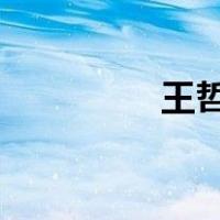 王哲被查 这是什么情况？