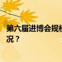 第六届进博会规模空前，将创多项“历届之最” 这是什么情况？