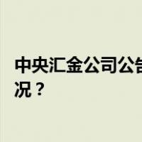 中央汇金公司公告：买入交易型开放式指数基金 这是什么情况？