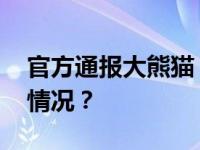 官方通报大熊猫“奂彩”病亡详情 这是什么情况？