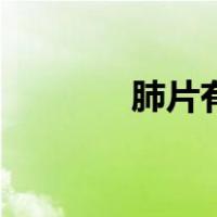 肺片有阴影怎么回事（肺片）