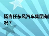 杨青任东风汽车集团有限公司董事长、党委书记 这是什么情况？