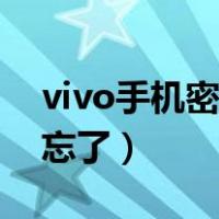 vivo手机密码忘了怎么解锁（vivo手机密码忘了）