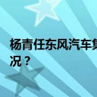 杨青任东风汽车集团有限公司董事长、党委书记 这是什么情况？