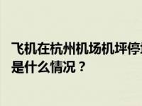 飞机在杭州机场机坪停场过夜被车辆刮蹭，厦门航空回应 这是什么情况？