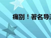 痛别！著名导演去世 这是什么情况？