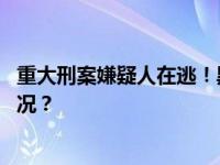 重大刑案嫌疑人在逃！黑龙江警方发布悬赏通告 这是什么情况？