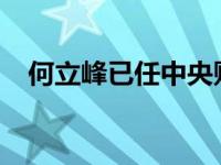 何立峰已任中央财办主任 这是什么情况？