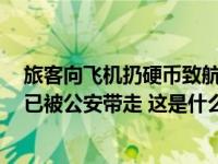 旅客向飞机扔硬币致航班延误3小时？南航回应：涉事旅客已被公安带走 这是什么情况？