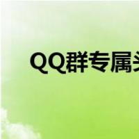 QQ群专属头衔不显示（qq群专属头衔）