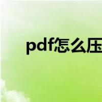 pdf怎么压缩文件大小（pdf怎么压缩）