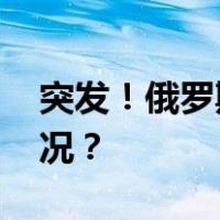 突发！俄罗斯大亨在法国被拘留 这是什么情况？