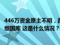 446万资金原主不明，西昌警方公告：6个月无人认领，将上缴国库 这是什么情况？